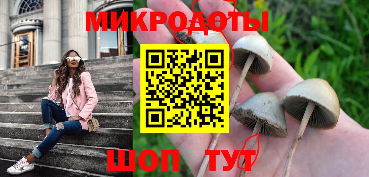 Псилоцибиновые грибы Magic Shrooms  Вход с VPN  Ступино  Псилоцибиновые грибы ЛСД 